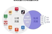 私域电商老商家运营秘籍：深度解析持续增长与用户留存之道