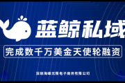 蓝鲸私域：开启高效精准营销，解锁私域流量增长新密码