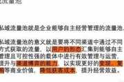 私域流量池有必要去吗？深度解析与探讨