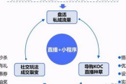 私域流量价值变现法则：解锁客户终身价值的财富密码