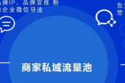 私域流量运营个人IP：打造独特影响力与高价值粉丝圈