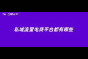 私域电商平台有哪些常见的类型及特点