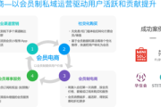 私域电商成功典范：[品牌名]如何凭借独特策略实现业绩飙升