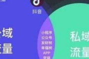 揭秘私域流量变现平台：开启低成本高回报的财富增长新路径