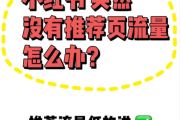 从 0 到 2100 + 私域用户：康益优保健品小红书 + SEO 引流操盘手记