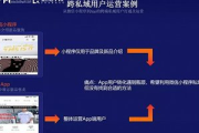 私域运营案例大全：全方位剖析成功私域运营策略与实战技巧