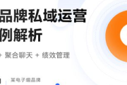 深度剖析：[品牌名称]私域运营成功案例背后的策略秘诀