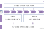 深度剖析：[具体品牌]电商私域流量运营成功案例背后的秘诀