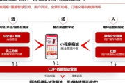 从0到1搭建私域流量池：[品牌名]的成功案例揭秘
