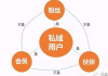 私域流量营销案例深度剖析：策略、成效与启示