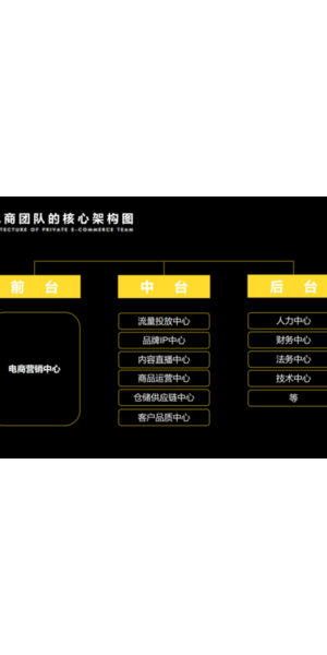 揭秘电商私域成功案例:从0到1的流量转化与用户留存秘诀