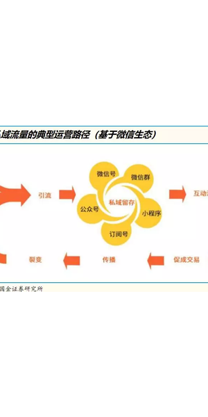 揭秘私域引流路径：多渠道布局，精准触达，流量轻松涌入