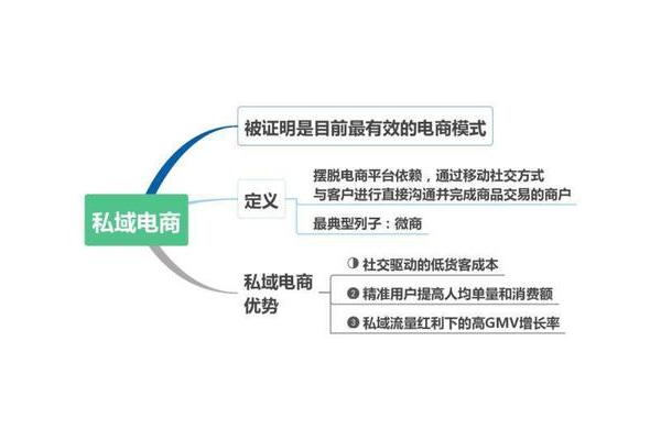私域电商什么意思?深度解析私域电商含义与运营要点