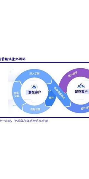揭秘私域运营新模式：[品牌名]成功案例解析与策略洞察