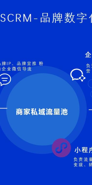 私域流量运营个人IP:打造独特影响力与高价值粉丝圈