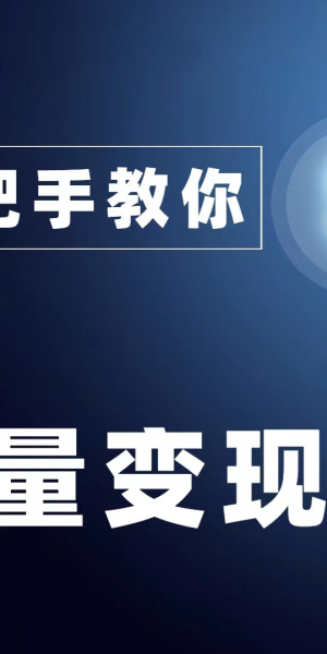 私域流量引流项目:打造高效转化的策略