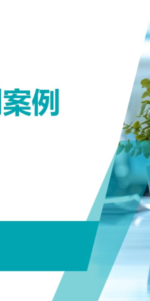 水果私域运营成功案例深度剖析：PPT 呈现实战秘诀