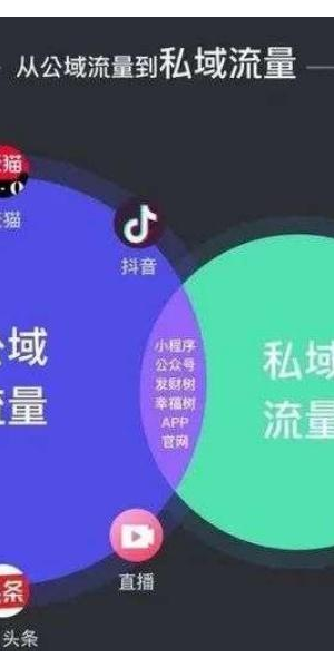 揭秘私域流量变现平台:开启低成本高回报的财富增长新路径