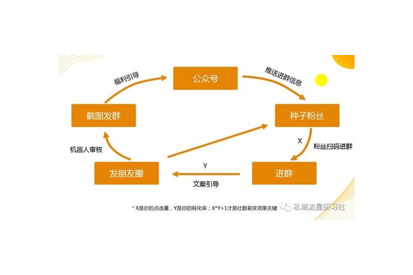 构建私域矩阵：多平台协同，解锁流量裂变与用户深度运营新密码