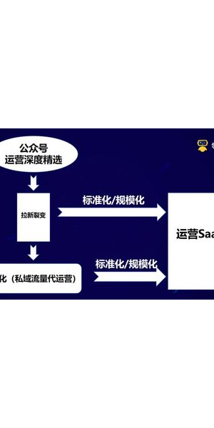 成功私域裂变案例大揭秘,这些玩法让流量与转化双丰收