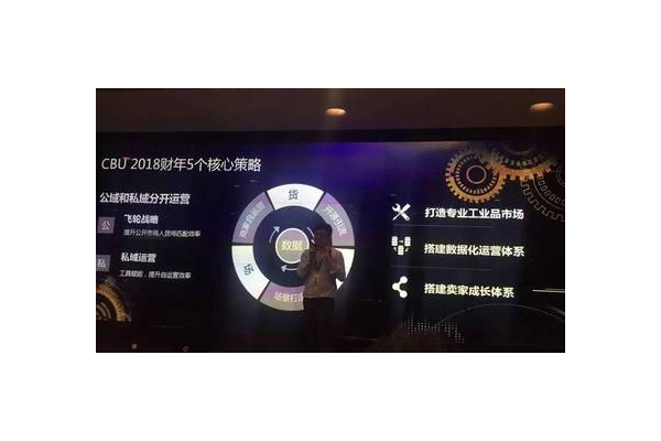 飞轮私域:构建高效增长闭环,开启流量运营新篇