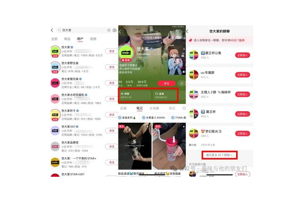 探秘小红书私域流量：暗藏机遇还是挑战重重？
