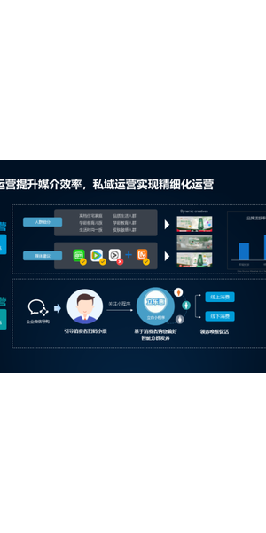 私域平台定制:解锁企业专属流量密码,开启精准营销新时代
