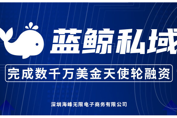 蓝鲸私域:开启高效精准营销,解锁私域流量增长新密码