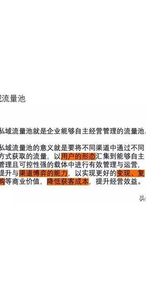 私域流量池是什么样的:深度剖析其独特形态与价值