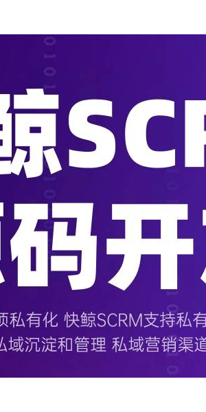 私域录:开启专属领域的精彩记录与深度洞察之旅