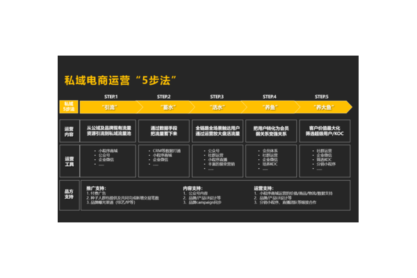 电商私域运营秘籍:搭建高粘性流量池,实现业绩持续增长