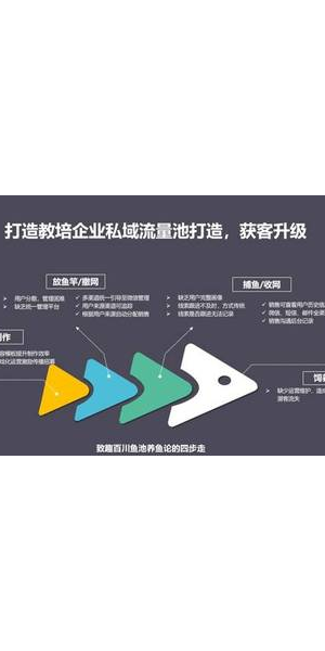 私域流量pdf:解锁流量密码,开启高效营销新路径
