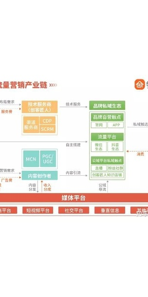 私域电商引流全攻略：多种有效方式助你提升流量与转化