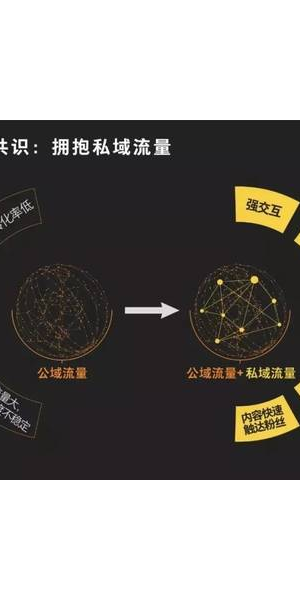 私域流量:挖掘客户忠诚度的金矿还是陷入营销内卷的陷阱?
