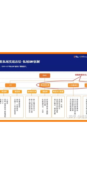 私域电商模型案例:成功实践与策略分享