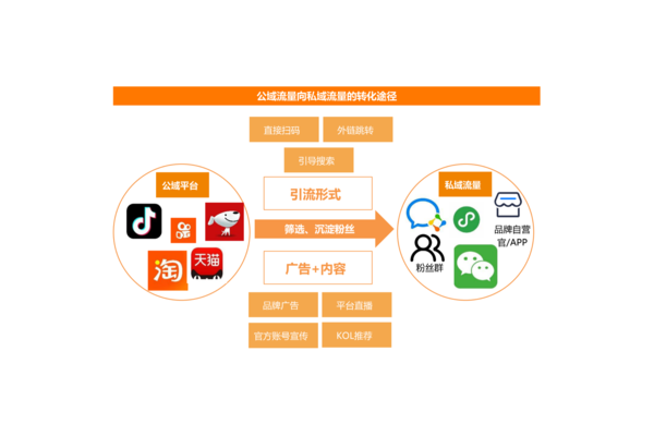 私域流量直播平台:开启专属的精彩直播互动新体验