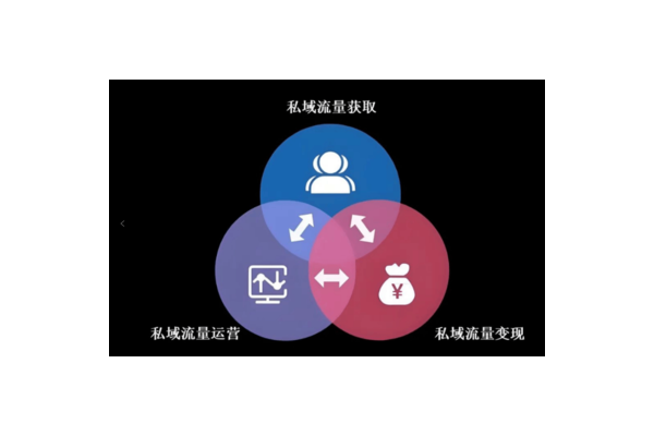 私域流量运营模式:构建深度用户连接与高效价值转化之道