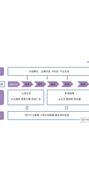 私域电商案例分析:成功经验与启示