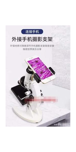 赚钱的无人直播手机:全新体验与商机