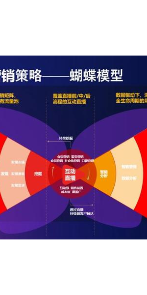 私域流量营销案例指南:揭秘成功玩法与策略要点
