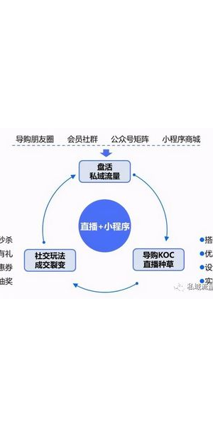 私域流量价值变现法则:解锁客户终身价值的财富密码
