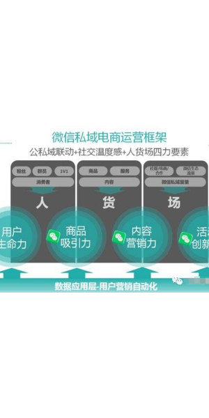揭秘私域电商引流秘诀，开启流量增长新路径