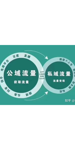 私域电商前景几何?解析发展趋势与潜在机遇