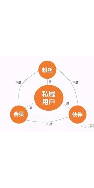 私域流量营销案例深度剖析:策略、成效与启示