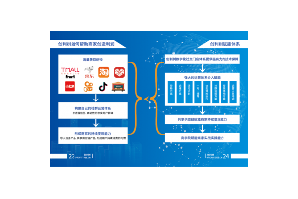 私域社交电商:开启新型商业模式