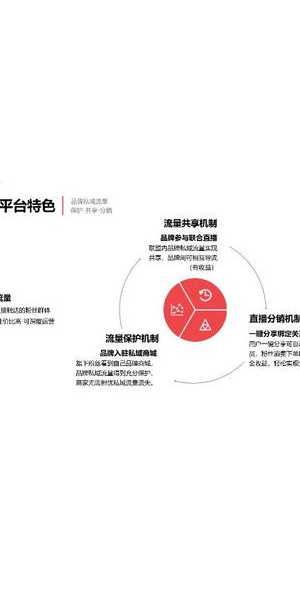 电商引流私域全攻略：精准策略+高效执行，开启流量新征程