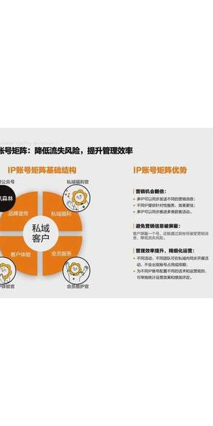 私域IP打造秘籍:解锁流量密码,开启商业变现新征程