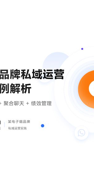 深度剖析：[品牌名称]私域运营成功案例背后的策略秘诀