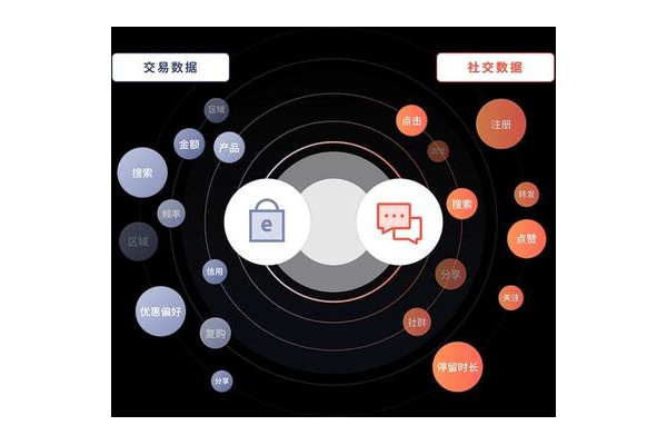私域数据分析:洞察用户行为,解锁私域流量增长新密码