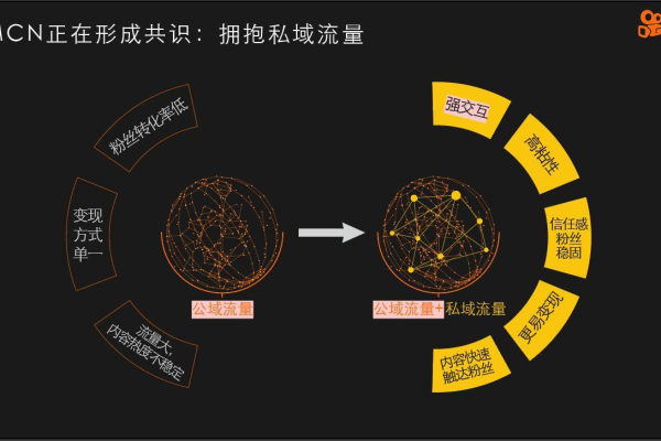 私域流量与公域流量裂变：打通增长新路径